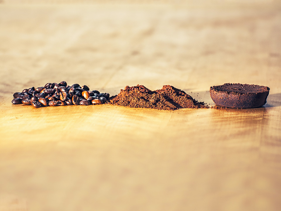 The life cycle of the humble coffee bean. But could it be that coffee could extend your life? Image credit : Thomas [CC BY 2.0] via Flickr.